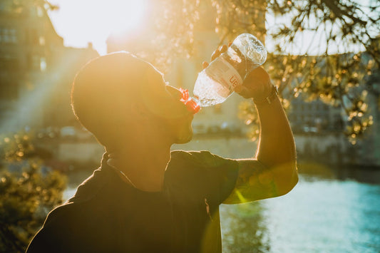 Can a Father’s Microplastic Exposure Today Reprogram Their Future Children’s Health?