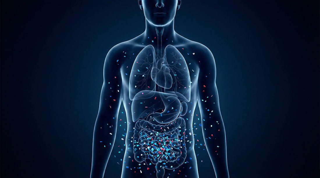 Microplastics and Prostate Health: A Look at Emerging Research