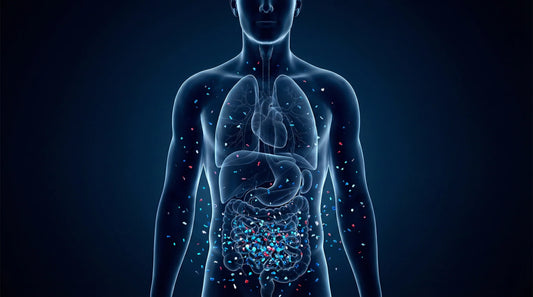 Microplastics and Prostate Health: A Look at Emerging Research
