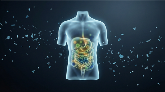 Microplastics and Your Gut: How Tiny Plastic Particles Are Disrupting Your Microbiome