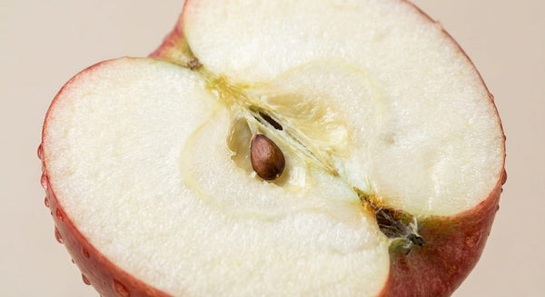 Apple Pectin